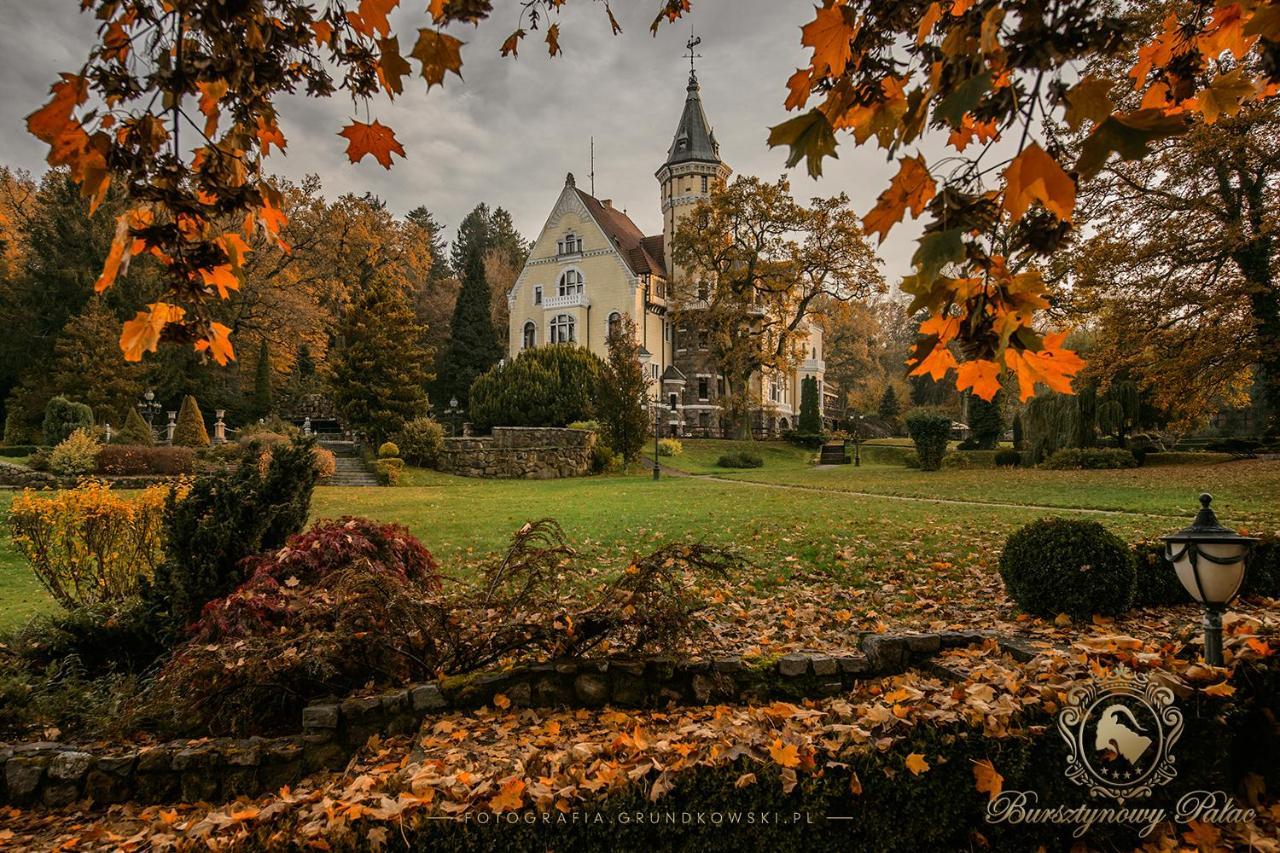 Hotel Bursztynowy Palac Кошалин Экстерьер фото